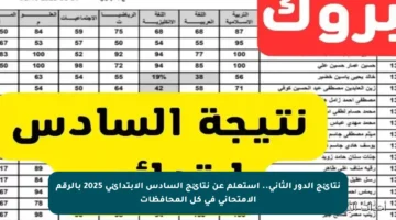 نتائج الدور الثاني.. استعلم عن نتائج السادس الابتدائي 2025 بالرقم الامتحاني في كل المحافظات